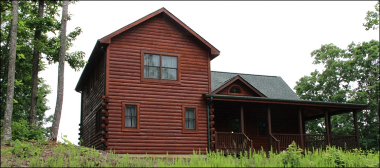 Professional Log Home Borate Application  Buckingham County, Virginia